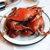 mud crab for sale perth