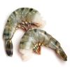 fresh gulf shrimp for ...