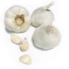 fresh garlic for sale ...