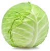 fresh cabbage supplier...