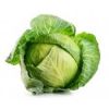 fresh cabbage supplier...