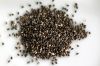 chia seed powder supplier