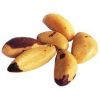 brazil nut processing