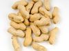 peanuts suppliers zimb...