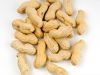 virginia peanut suppliers