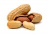 peanuts suppliers zambia