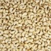 Cashew Nuts