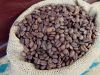 Coffee products green coffee beans robusta common coffe beans robusta green coffee