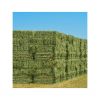 Alfalfa Hay for Animal Feeding /alfalfa hay pellets /Timothy Hay in Bales