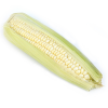 Buy white corn in bulk at affordable prices for wholesale buyers