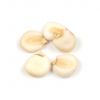 Bulk supply of white corn for international markets