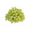 Fresh grapes for sale in bulk at a wholesale price