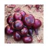 Crisp and juicy red onions ideal for food processing