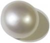Pearl for sale in wholesale price