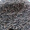 black pepper