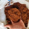 Coir Pith