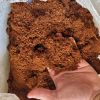 Coir Pith