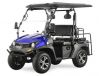 New TrailMaster Taurus 200E-GX UTV Fuel-Injection-System Golf cart extended roof long roof 4 seat