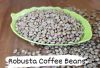 ROBUSTA COFFEE BEANS