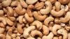 cashew nut