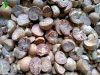 Cheapest Wholesale Pri...