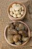 CASHEW NUT