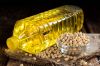 Refined Soybean Oil