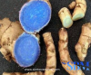 Black Turmeric