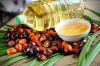 High quality palm oil available 