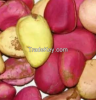 Kola nut