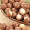 MACADAMIA NUTS AND KERNEL