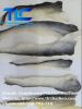 Dried Pangasius Fish Skin (THAI LIEN COMPANY, MS. FIONA : +84789196389 )