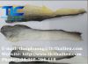 Dried Pangasius Fish S...