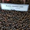 Black Pepper 