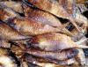 Fish (Dired/smoked &amp; Packaged)