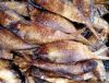 Fish (Dired/smoked &am...