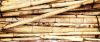 Bamboo Stick