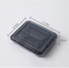 Disposable  PP  Lunch Box Take Away Food Container