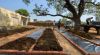 Vermicompost