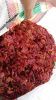 Mace / Fuli / Nutmeg F...