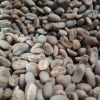 Sumatra Arabica Green ...