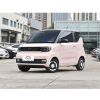 China mini ev car  ele...