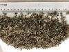 ISLANDIC MOSS
