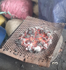 COCONUT SHELL CHARCOAL