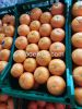 orang