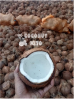Semi Husked Coconut,Copra,Desiccated Coconut