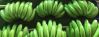 Cavendish Bananas from...