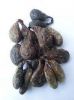 Castoreum sacs
