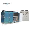 Contact horizontal freezer &amp; Condensing unit ICESTA Low temp $20000-$50000