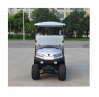 EEC Approved ZYCAR 2 Seat Electric Golf Cart Buggy Custom Golf Push Carts Wholesale Simple